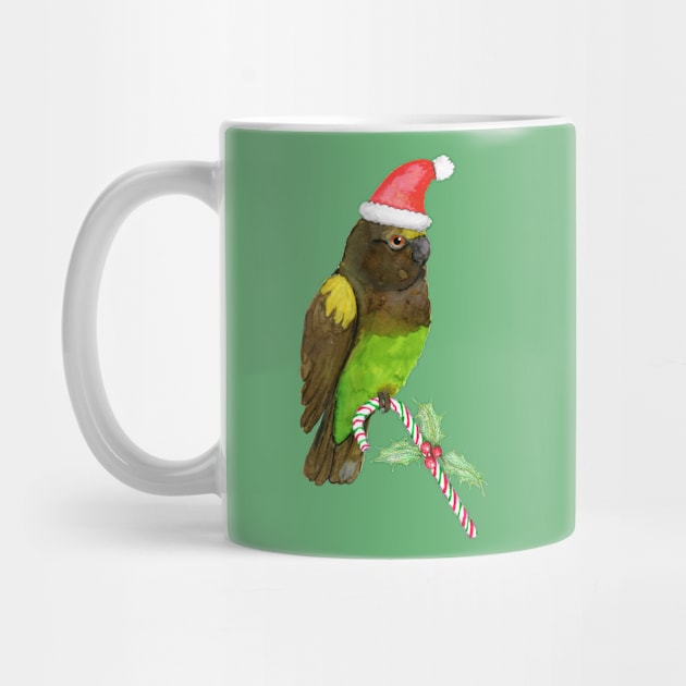 Meyer's parrot Christmas style by Bwiselizzy